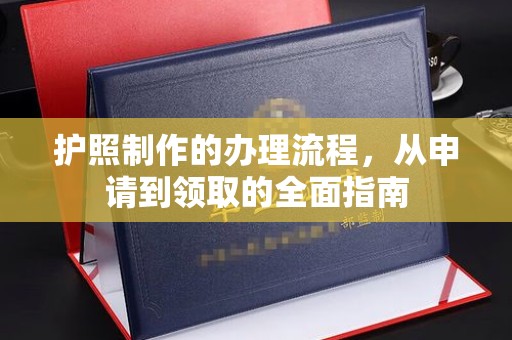 金水护照制作的办理流程，从申请到领取的全面指南