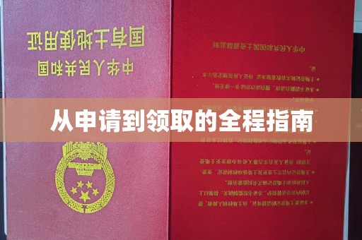 金水从申请到领取的全程指南