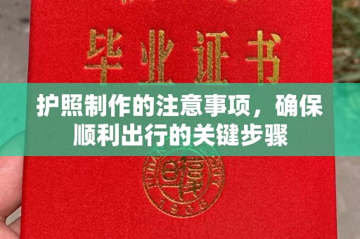 金水护照制作的注意事项，确保顺利出行的关键步骤