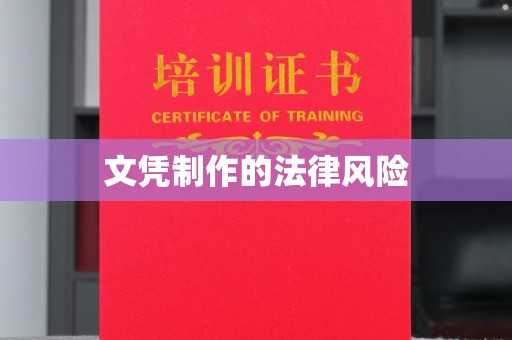 金水文凭制作的法律风险