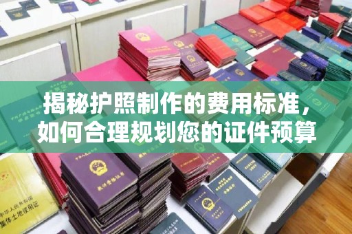 金水揭秘护照制作的费用标准，如何合理规划您的证件预算
