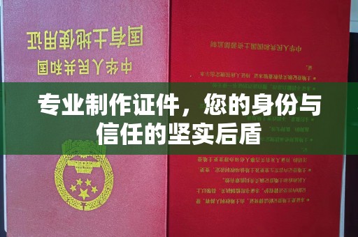 金水专业制作证件，您的身份与信任的坚实后盾