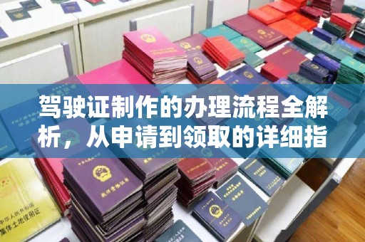 金水驾驶证制作的办理流程全解析，从申请到领取的详细指南