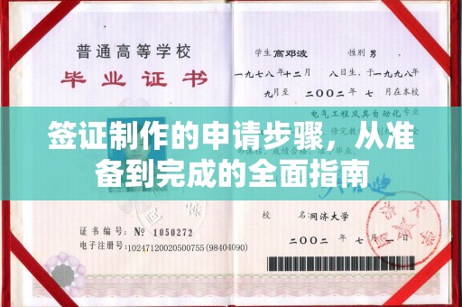 金水签证制作的申请步骤，从准备到完成的全面指南