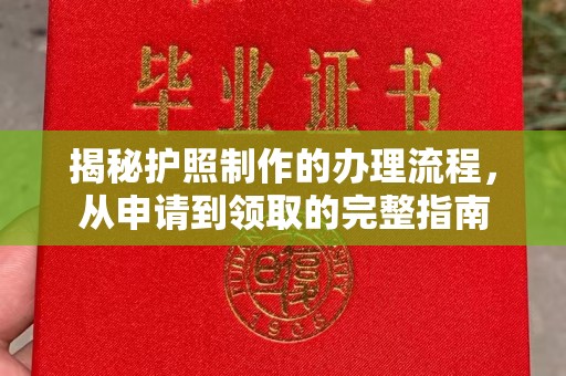 金水揭秘护照制作的办理流程，从申请到领取的完整指南