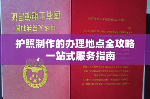 金水护照制作的办理地点全攻略，一站式服务指南