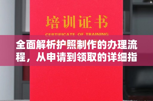 金水全面解析护照制作的办理流程，从申请到领取的详细指南
