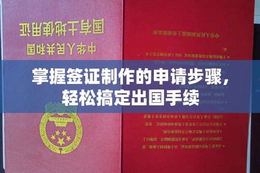 金水掌握签证制作的申请步骤，轻松搞定出国手续