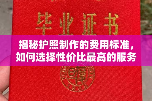 金水揭秘护照制作的费用标准，如何选择性价比最高的服务？