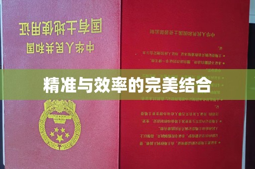 金水精准与效率的完美结合